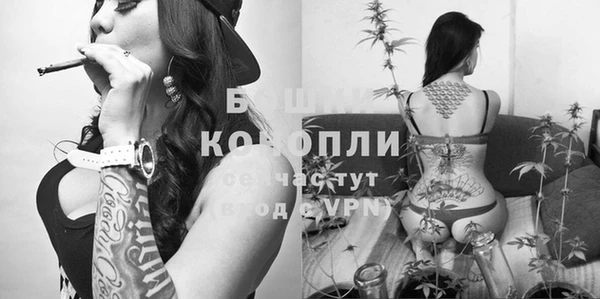 apvp Верея