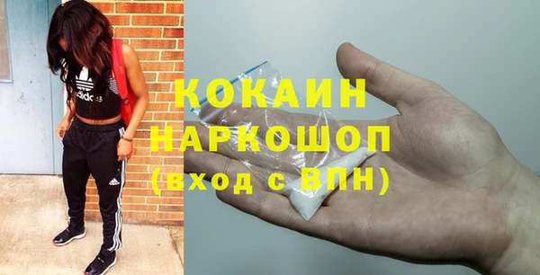 apvp Верея