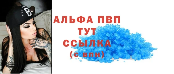 apvp Верея