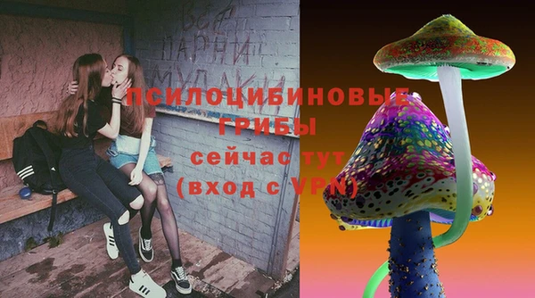 твердый Волоколамск