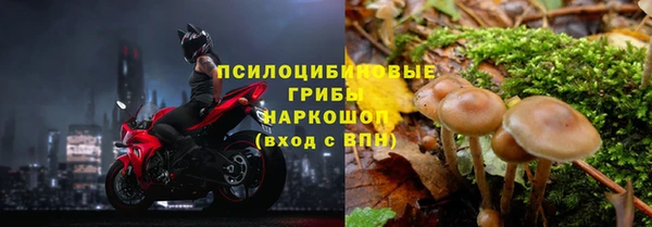 твердый Волоколамск